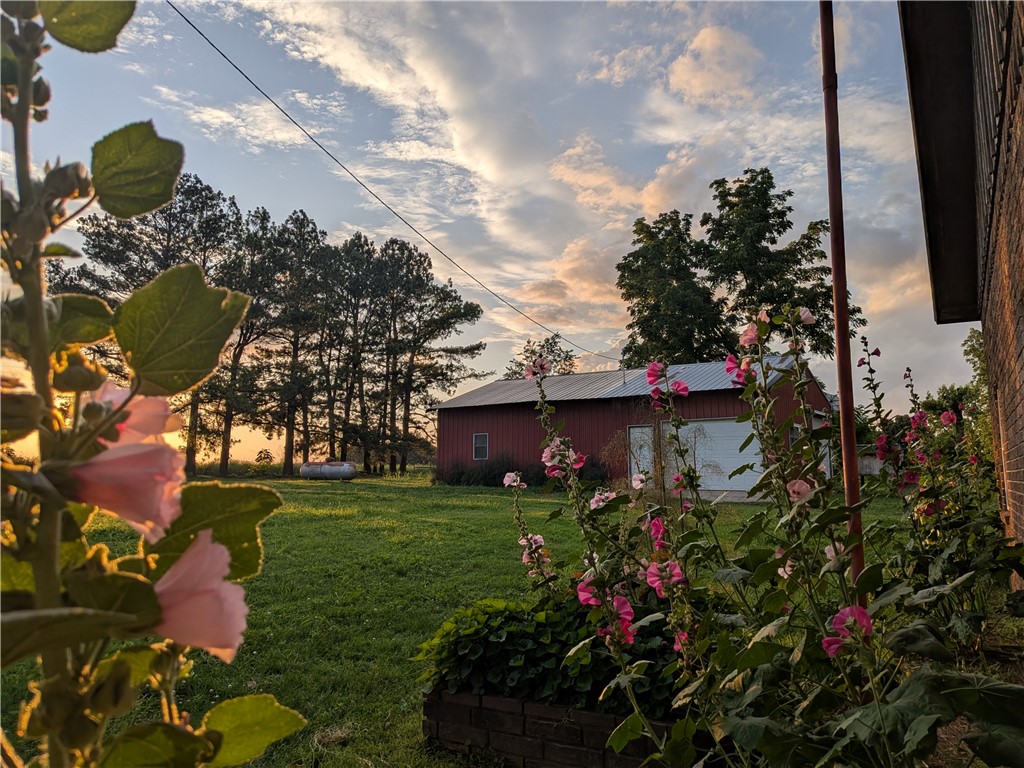 Rural Property - Land