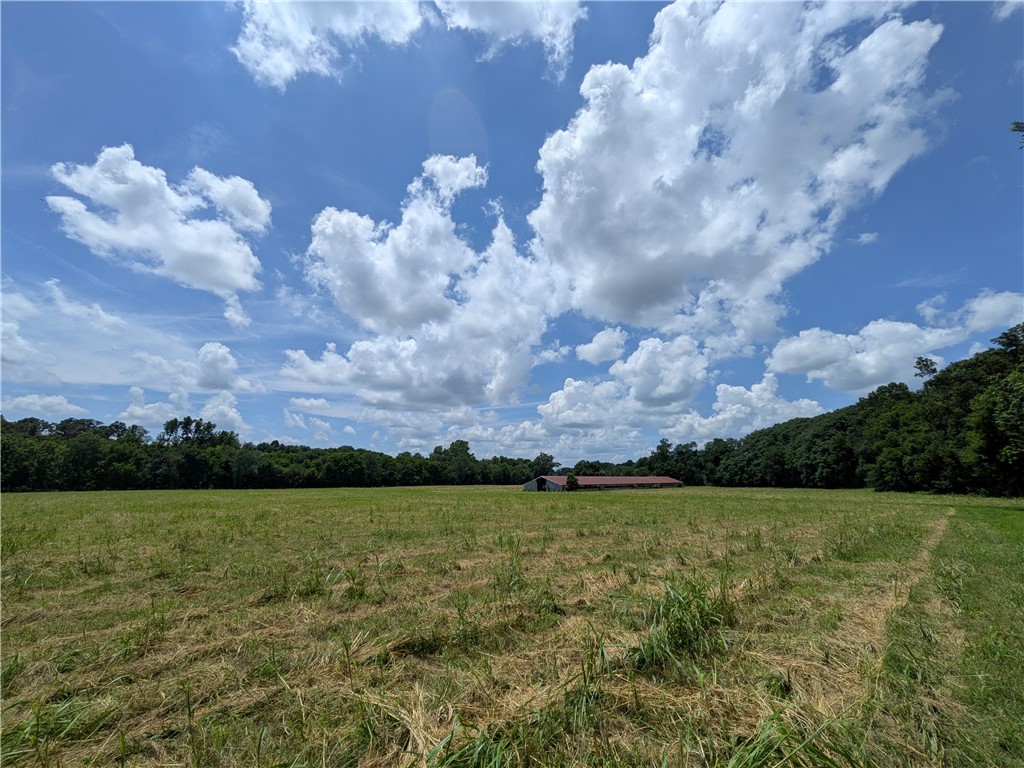 Rural Property - Land