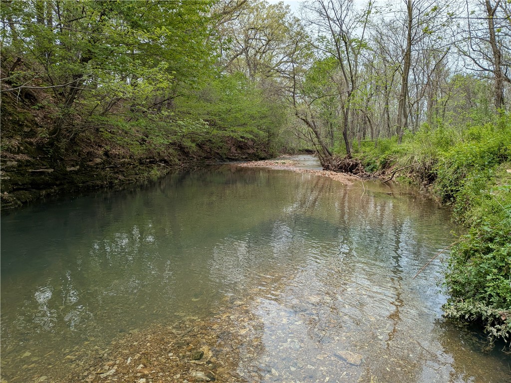 Rural Property - Land