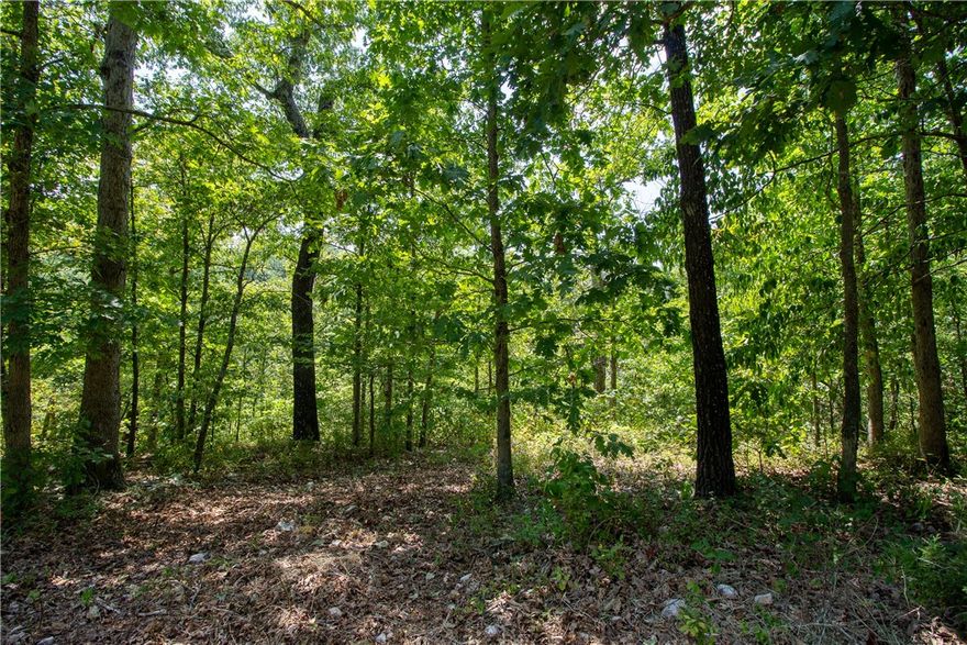 Are you looking for a quiet, beautiful location to build? Rare find! This 5.27 acre lot with trees is one parcel on two lots in Bella Vista. It is at the end of a very nice, sparsely built street and is not in the Bella Vista POA so add that barn, shop, etc. This lot has been perc'd and has Centerton City water running down through the lots. Multiple possible locations to build. Don't quite want all 5.27  acres? Buy to build on part and sell the other, pick your neighbor! I marked the approximate lot by the road and the owner put ribbon on most of the dogwood trees he could find. Contact your builder, agent or call for your private showing today!