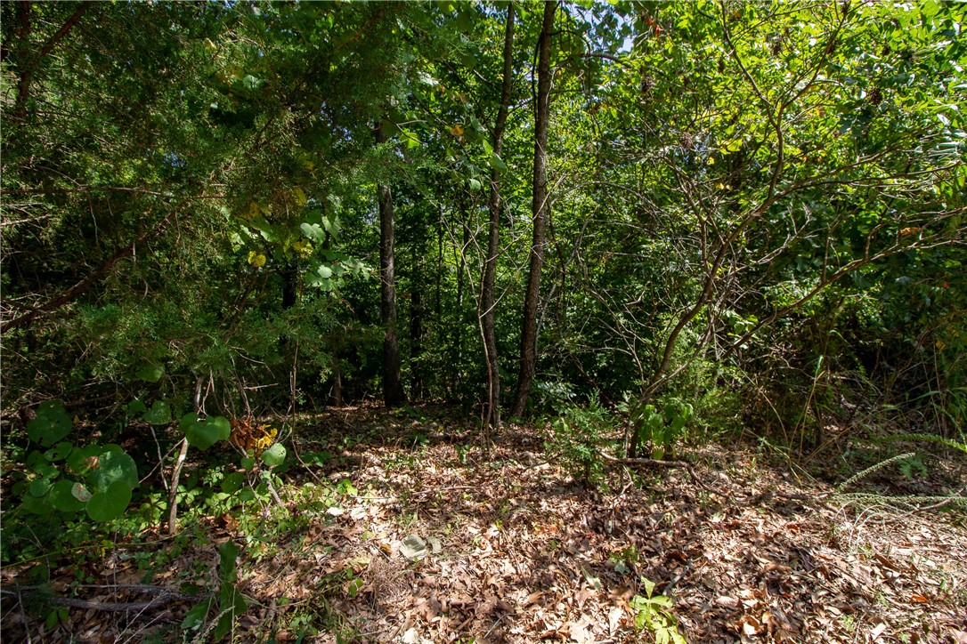 Mountain Spgs Estate 2nd Bvv - Land
