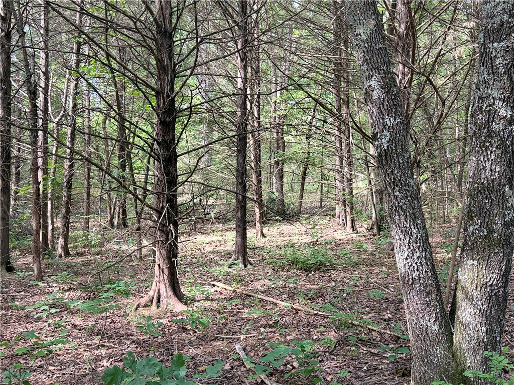 Photo 1 of 11 — Lot 10 Seaton Drive, Bella Vista, AR 72714
