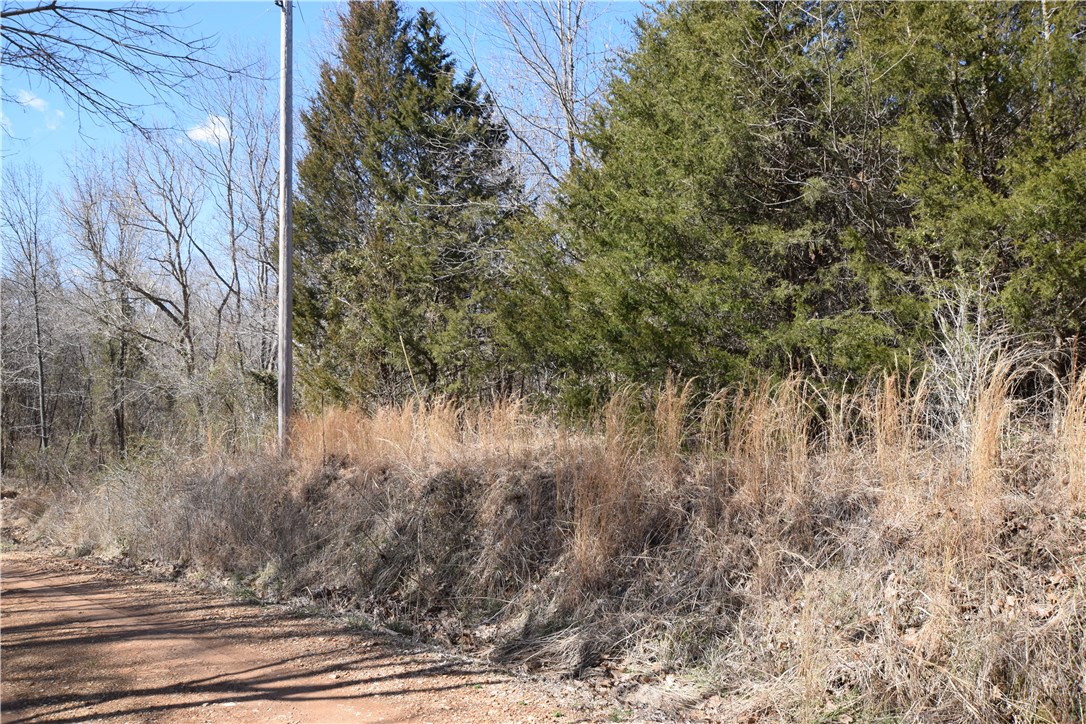 Posy Mountain Ranch Unit 2 Rurban - Land