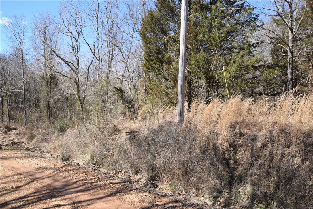 Posy Mountain Ranch Unit 2 Rurban - Land