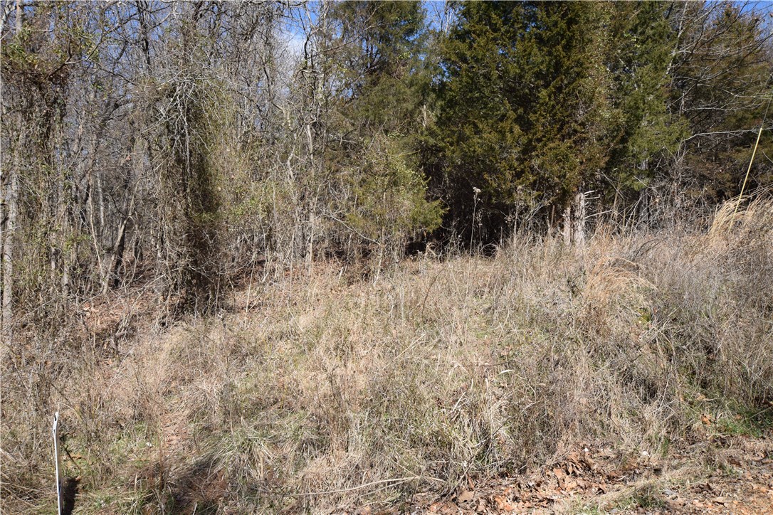Quiet and peaceful area of Lost Bridge Village on Angus Dr. Sunset views, needs septic, 1.01 acres. Lost Bridge Village amenities included: Swimming pool, tennis courts, library, air strip, and recreational room. Close to Beaver Lake.
