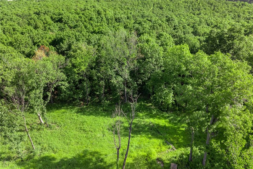 The groundwork is already done for you!  This lot comes fully equipped with underground utilities already in place, including natural gas, fiber optic internet, electric, public water, and sewer. No waiting, no guesswork, no costly setup—just a smooth, ready-to-build opportunity from day one. Lot 89 (0.50 m/l ac) of Round Mountain is on the lower side of the development. This lot offers the option for a walkout basement and those views to the north. RME is the newest subdivision in Harrison, AR. If you’ve been dreaming of trading city lights for star-filled skies, RME delivers. Beyond your homesite, you’ll have access to a 350 acre common area reserved for residents, featuring a stocked fishing pond, Kissing Rock Trail, natural springs, Baby Canyon Trail, striking bluff lines and views that stretch for miles.  *Terrapin Creek Rd will be paved in the future, per county officials.