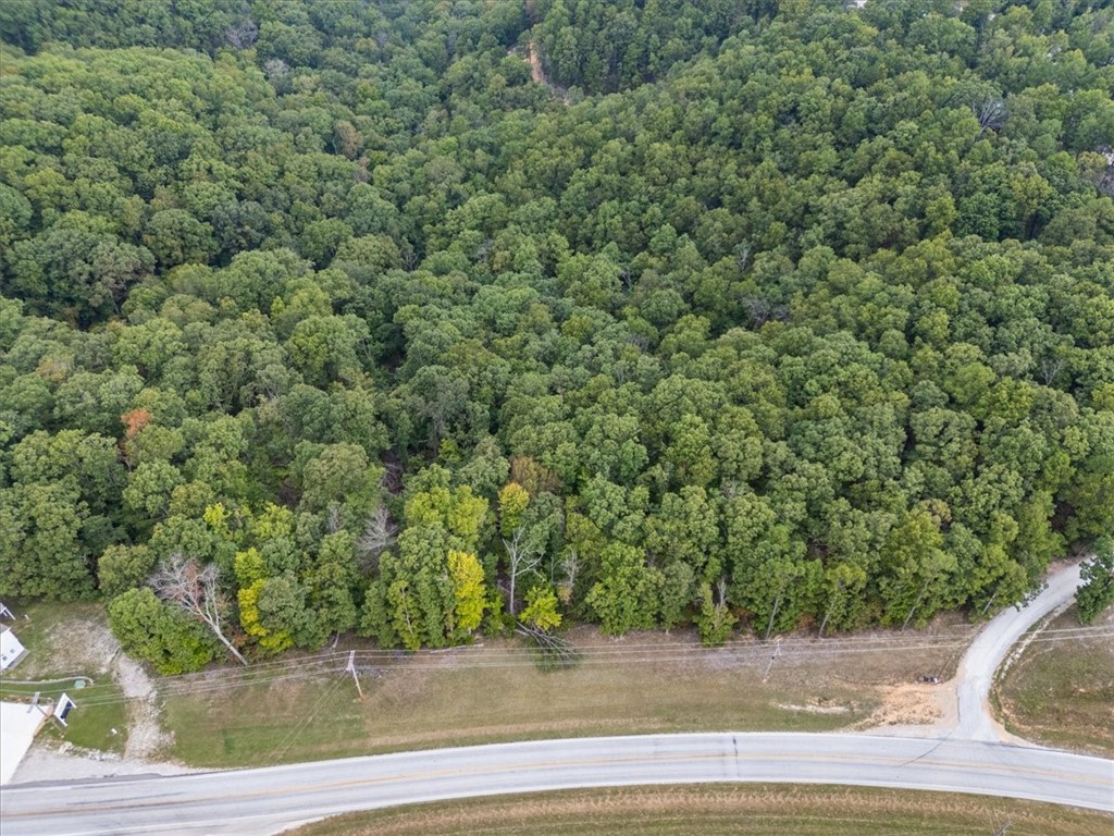 Beaver Lake Dev - Land