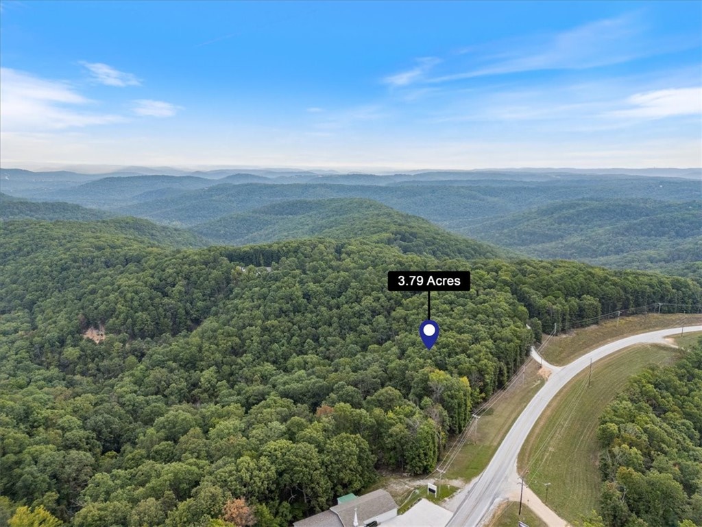 Beaver Lake Dev - Land