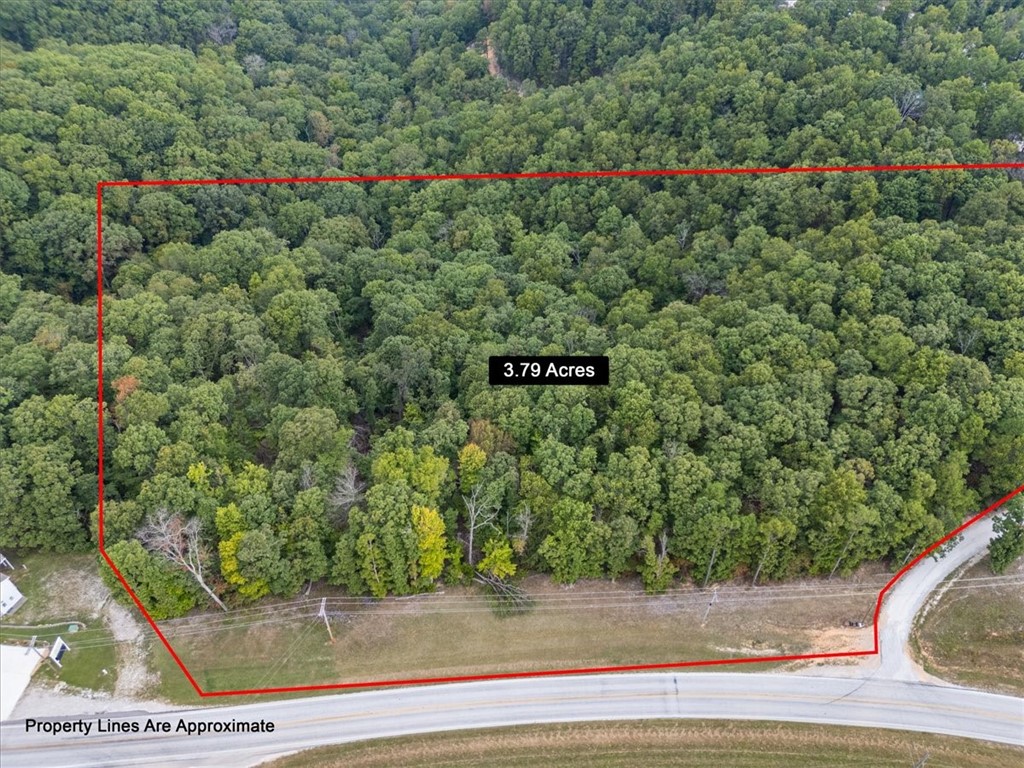 Beaver Lake Dev - Land