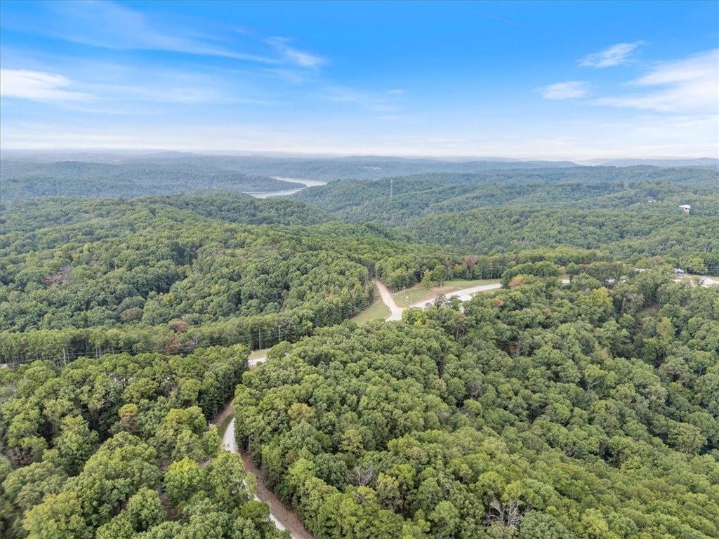 Beaver Lake Dev - Land