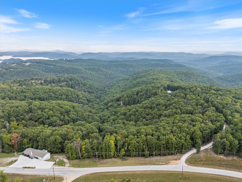 Beaver Lake Dev - Land
