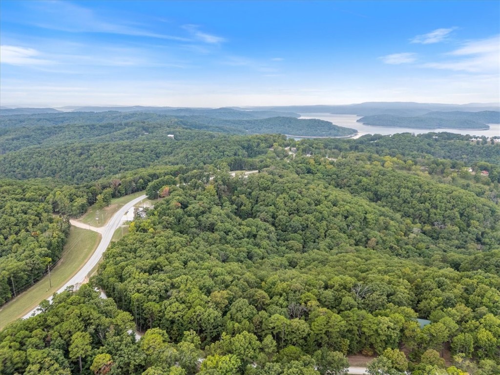 Beaver Lake Dev - Land