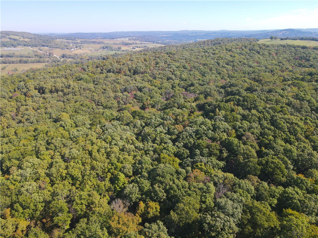 This beautifully wooded acreage just south of Huntsville checks a ton of boxes! Only 5 minutes from town, but with a feeling of privacy in the quiet rolling hills of Madison County. Electricity and fiberoptic are on site near the road, while the bulk of the property stretches east with a gentle grade. There are two small ponds, and the timber gets increasingly mature toward the back of the property. Stands of large red oak, white oak and hickory dominate most of the property, providing excellent visibility in the woods. There is also a noticeable amount of mature cherry trees on the property. Through the center runs a gorgeous wet-weather stream full of boulders and small waterfalls to explore. There are countless locations just begging for a cabin or a deer stand. The potential is off the charts for all kinds of uses including hunting, permanent homesite, recreational getaway, and more.