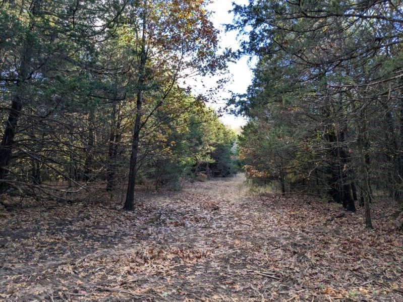 Hard to find this kind of land this close to town! Enjoy seclusion while you are near all the conveniences of town. Right on the edge of town, a few minutes and you are in Prairie Grove, 10 minutes to Farmington. Land is currently wooded, with lots of large cedar trees, huge old oak trees, 2 small ponds, and some large boulders. It is really pretty, very private, and due to the topography, it should remain private for years to come. 10-65 acres available. Will need a well, but for the right price, I can get public water to the land. Property cannot be seen from the road, please schedule an appointment.