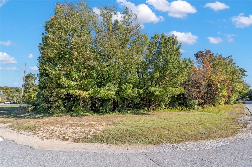 A rare flat lot in Bella Vista that provides an exceptional opportunity to build your dream home or investment.Ā Located nearĀ major roads connecting you seamlessly to I-49 and all of Northwest Arkansas,Ā all while being in close proximity toĀ renowned biking trails and the new OZ Trails Bike Park. Enjoy the convenience this locationĀ offers along with amenities such as lakes, recreation centers, and golf courses.