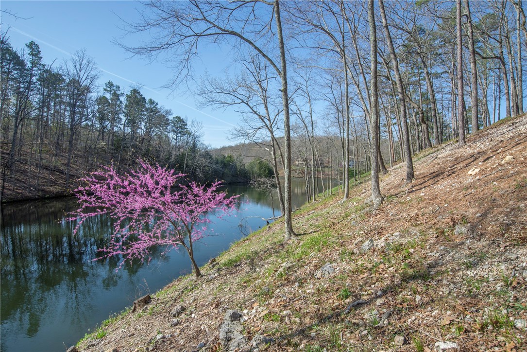 Dorchester Sub Bvv - Residential