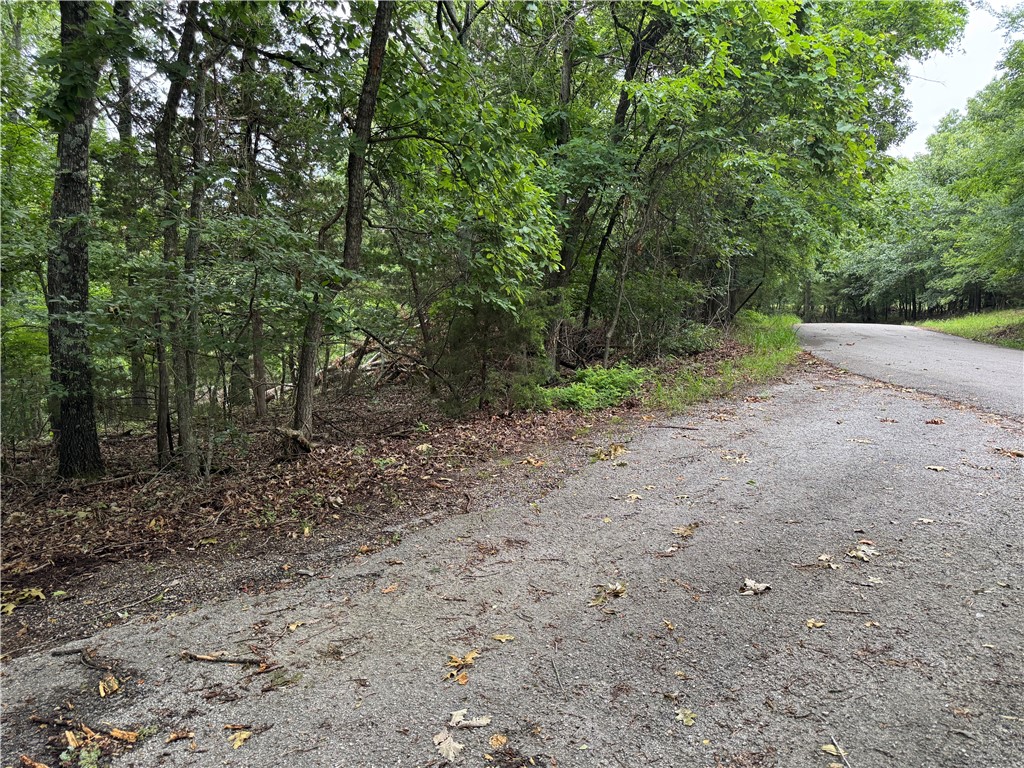 A total of 163’ of frontage on West Airport Drive and Rocky Ridge Place. This corner lot has a large build site that is perfect for panoramic views. Public water and sewer is available. Lost Bridge amenities include a community pool, recreation center, pickleball courts, community events and a library.