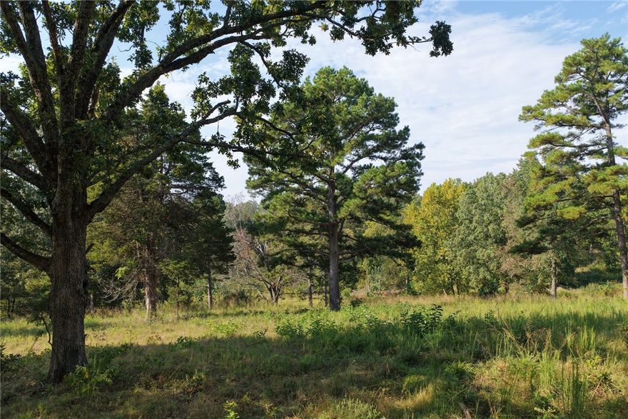 This 28-acre property offers the best of both worlds—privacy and room to spread out, while still being less than 5 minutes from town. With paved road frontage and a convenient location just 4.6 miles from the hospital, you’ll love how easy it is to get where you need to go without giving up the peace and quiet of the country.
The land itself is a beautiful mix of mature timber, pasture, and rolling views—ideal for building your dream home, running a few head of livestock, or simply enjoying the abundant wildlife. With so much space and versatility, the opportunities here are wide open.
Located in the Valley Springs School District and only about 30 minutes from Branson, MO, this property combines convenience with the lifestyle you’ve been looking for.