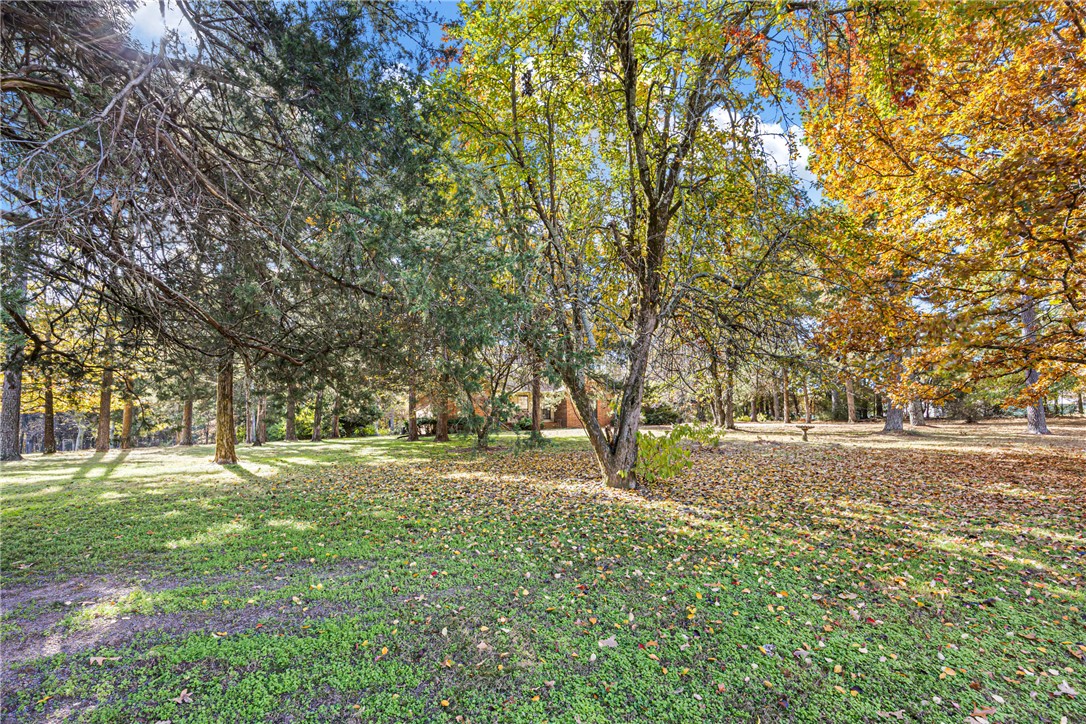 Cliff & Stream - Residential