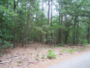 Have you already found the perfect plans for your new home and are just looking for the right property to build on? Here is the property for you with 3 acres and plenty of building space for you to start the house of your dreams. Make an offer and get started today.