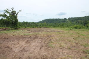 46 acres located just North of Dover in the Pleasant Grove community. The west end of the property goes on the mountain. Seller will do additional clearing and home site prep with an acceptable offer. Owner will consider selling in smaller tracts and possible OWNER FINANCE available.