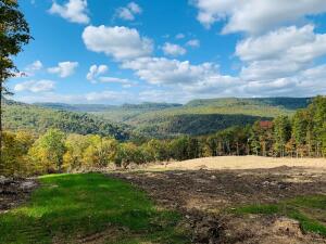 Excellent location with stunning views, perfect for building your dream home. Solitude and privacy with abundant wildlife yet just a15 minute drive to Jasper, 2.7 miles from Hwy 327 on a well maintained county road. Seller has started construction on their home but have to relocate out of the area. The building site has been cleared and foundation poured for the house, the septic system for a 4 BR 2BA house has been installed and 20x30 concrete pad has been poured for workshop/garage. The well has been drilled, and a 1100 gallon water storage tank has been buried next to the well. Electricity/phone and internet have been brought to the building site under ground. An additional 38.21 acres adjoins the property and can also be purchased. See MLS#144297 for details,