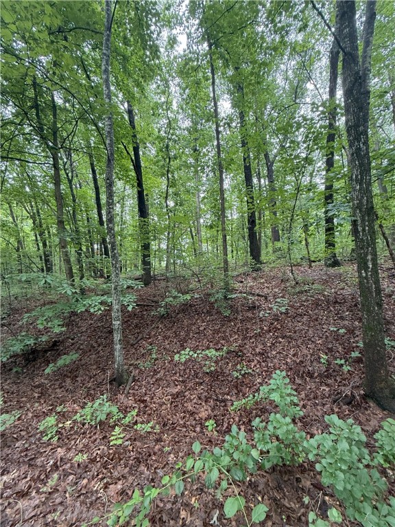 Located in the scenic hills of Bella Vista, this lot offers the perfect opportunity to build your dream home or invest in one of Northwest Arkansas’s fastest-growing communities. Surrounded by mature trees and natural beauty, the property provides peace and privacy while still offering quick access to E Lancashire Blvd and Trafalgar Rd. Just minutes from Lake Ann, enjoy nearby kayaking, fishing, and hiking trails, plus access to Bella Vista’s renowned POA amenities, including golf courses, fitness centers, and community clubs. Its location near the Arkansas-Missouri state line offers added appeal for those seeking a quiet retreat with convenient cross-state access. With Bentonville only a short drive away, you’re close to top-rated schools, shopping, dining, and world-class attractions. Whether you're looking to build now or hold as a long-term investment, this lot checks every box for natural charm and prime location. Current soil test available, suitable for u to a 4-bedroom home!
