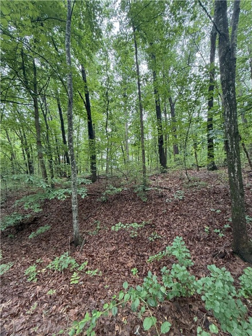 Located in the scenic hills of Bella Vista, this lot offers the perfect opportunity to build your dream home or invest in one of Northwest Arkansas’s fastest-growing communities. Surrounded by mature trees and natural beauty, the property provides peace and privacy while still offering quick access to E Lancashire Blvd and Trafalgar Rd. Just minutes from Lake Ann, enjoy nearby kayaking, fishing, and hiking trails, plus access to Bella Vista’s renowned POA amenities, including golf courses, fitness centers, and community clubs. Its location near the Arkansas-Missouri state line offers added appeal for those seeking a quiet retreat with convenient cross-state access. With Bentonville only a short drive away, you’re close to top-rated schools, shopping, dining, and world-class attractions. Whether you're looking to build now or hold as a long-term investment, this lot checks every box for natural charm and prime location. Current soil test available, suitable for u to a 4-bedroom home!
