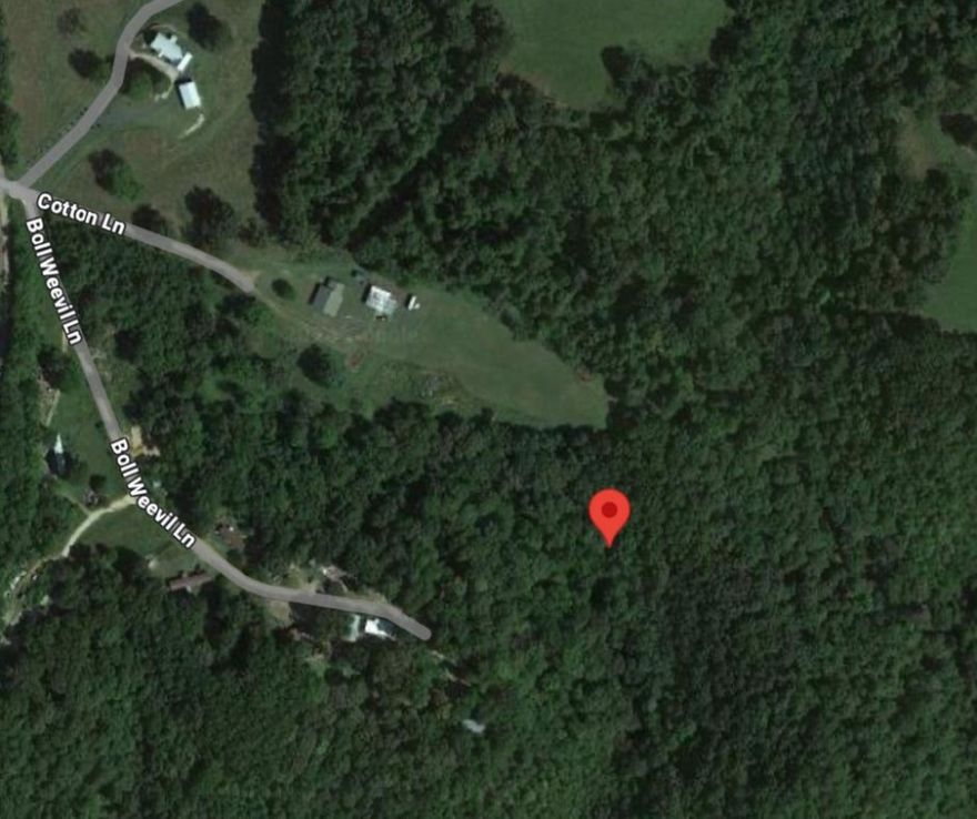 Just Over Five acres of land, Mobile home allowed, Mobile home that sits on the property to convey.