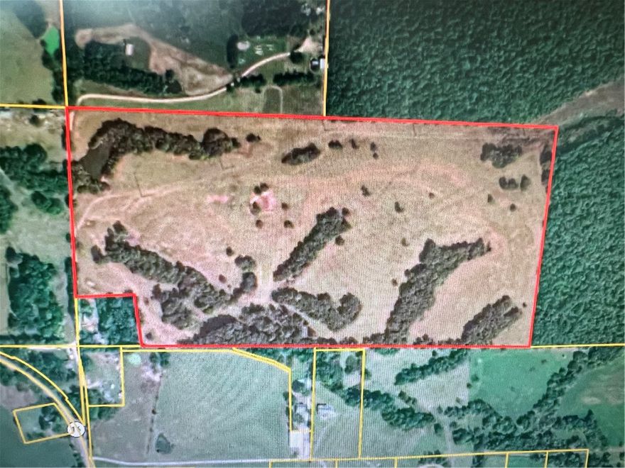 Looking for greener pastures? Check out this nearly 77 acres between Siloam Springs and Fayetteville off Highway 16 West.  This land is great for running cattle or be a hunters dream with 2 ponds, lots of open space with but plenty of trees too.  It also backs up to Ozark National Forest Wedington Wildlife Management area. *More photos coming soon*