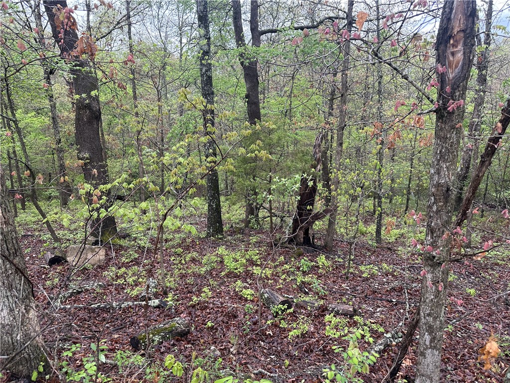 Just 2 minutes from back 40 trails system—this lot is all about location. Whether you're planning your next home or looking to invest, this spot puts you close to some of Bella Vista’s best outdoor amenities. Tucked in a quiet area with a natural feel, it’s a great place to start building.