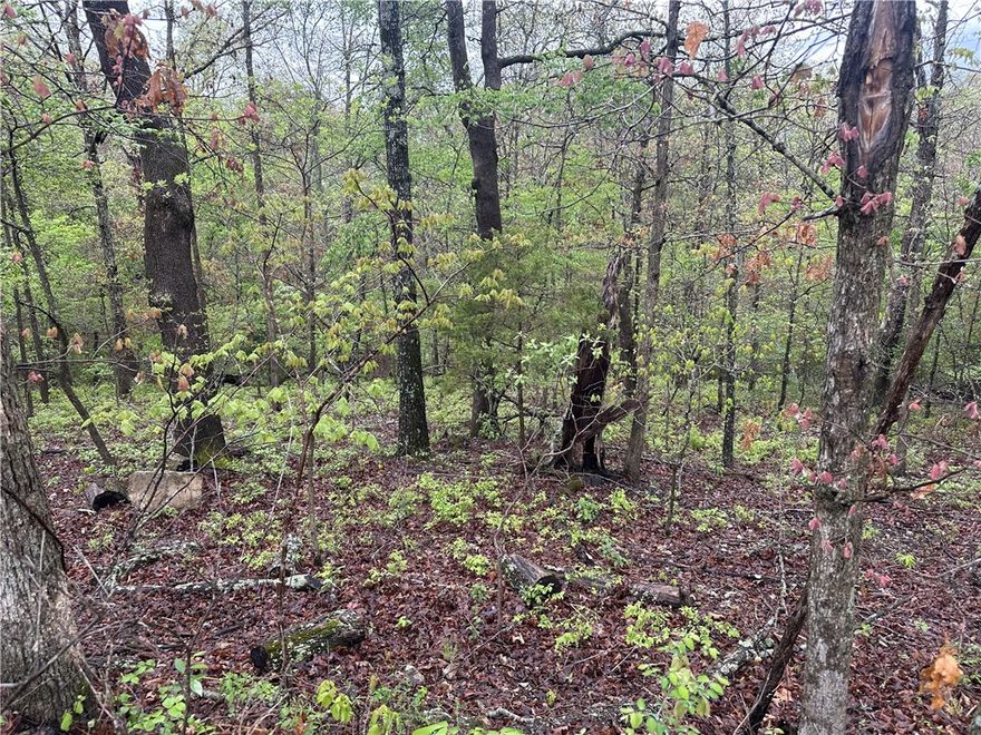 Just 2 minutes from back 40 trails system—this lot is all about location. Whether you're planning your next home or looking to invest, this spot puts you close to some of Bella Vista’s best outdoor amenities. Tucked in a quiet area with a natural feel, it’s a great place to start building.