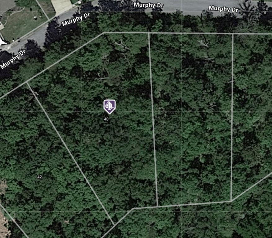 Buildable lot in a growing area close to 71. Level spot up front by street, slopes away from street.
