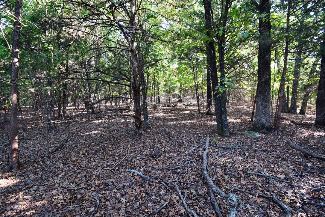 Dinsmore Trail