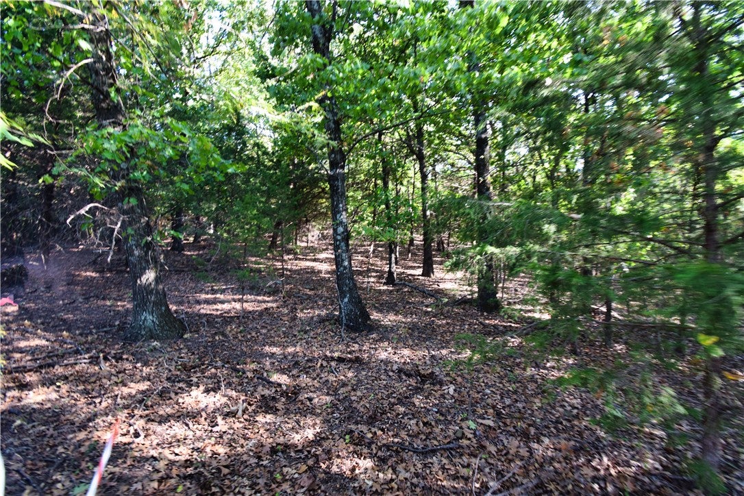 Dinsmore Trail