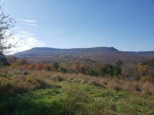 Great location with Hwy 74 East frontage.
