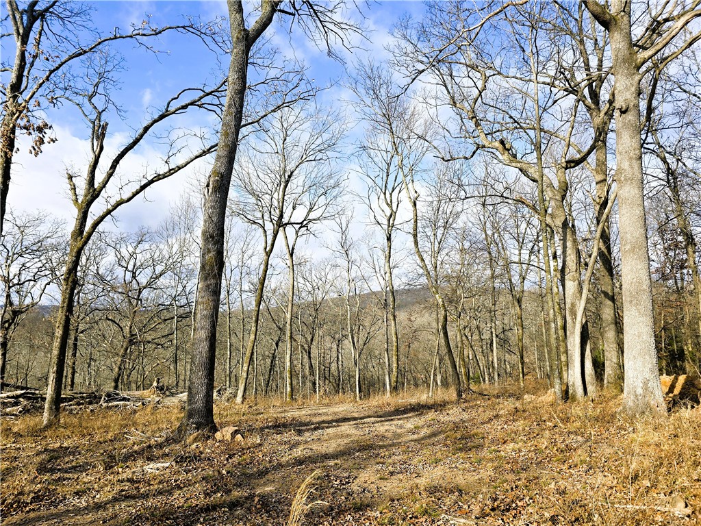 Brubaker Heights - Land