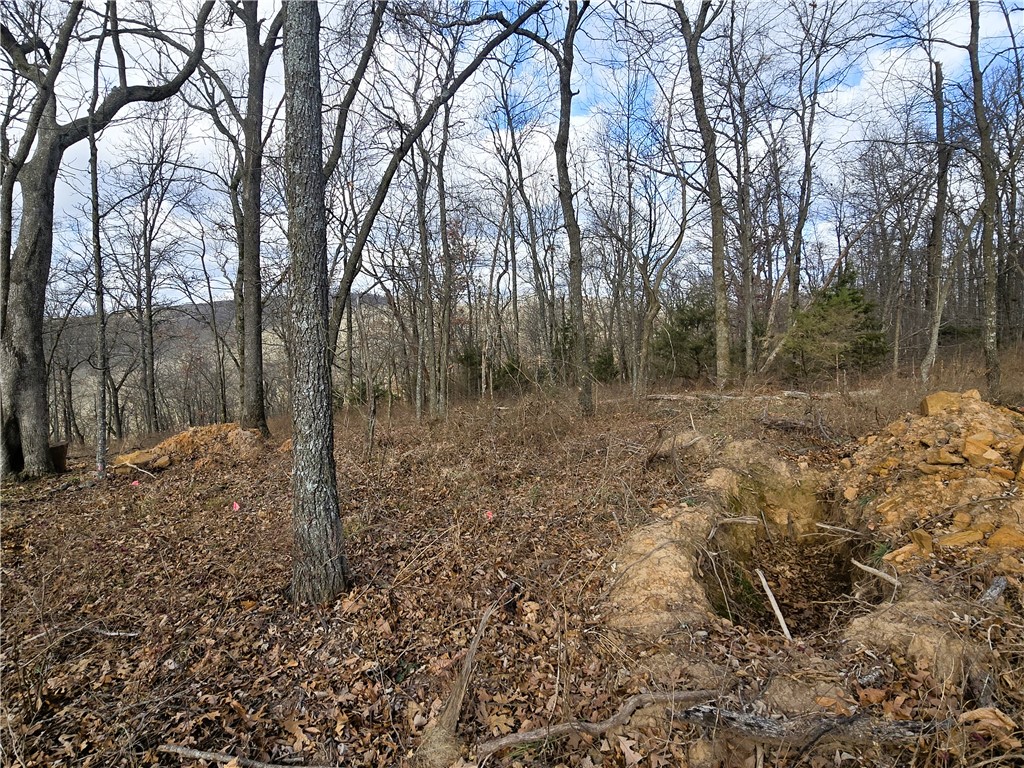 Brubaker Heights - Land