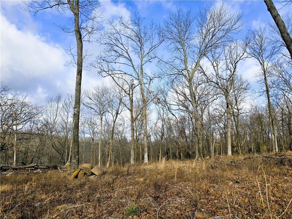 Brubaker Heights - Land