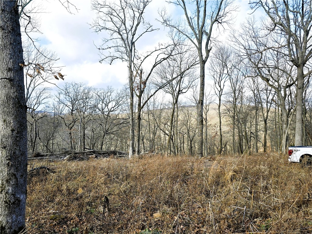 Brubaker Heights - Land