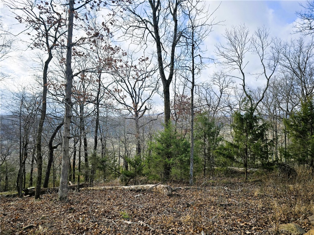 Brubaker Heights - Land