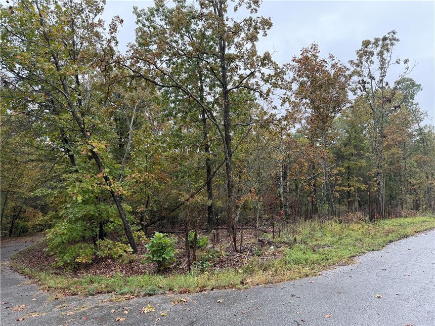 Seller to pay up to $5k towards Buyers Closing Costs & Prepaids AND provide a washer, dryer, and stainless steel refrigerator with full price offer. Sodded front yard, seed & straw on the side & backyard. Stainless Steel appliances. Kitchen has 2cm quartz & marble backsplash along with a stainless steel gas/propane cooktop, electric oven, microvent, & dishwasher. Living room has a gas/propane fireplace with ceramic tile surround. Ceiling fans throughout. Primary bedroom has bathroom suite with a separate free-standing tub & tiled oversize shower, dual vanity sinks, & 2 cm quartz vanity-tops. Disc lights, ceiling fans, and 2” faux wood blinds throughout the home. Owner is related to a realtor. Owner is related to the builder. Builder is a licensed real estate agent with Grandview Realty LLC. Taxes are based on the land only and will increase when re-assessed.