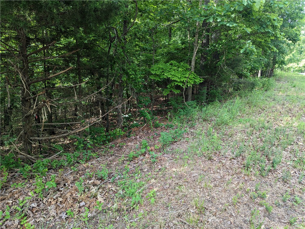 Don't miss your chance to own over 2 acres minutes from Beaver Lake in this quiet, secluded neighborhood. This listing includes 2 lots that are sloped and wooded but there is a lot potential and a couple great areas to build your dream home without having to clear too many trees. You must see this property to envision all the possibilities! The lots have been surveyed, the metal stakes at the front of the property are visible from the road, perc test also completed. Please see the covenant restrictions attached to the properties.