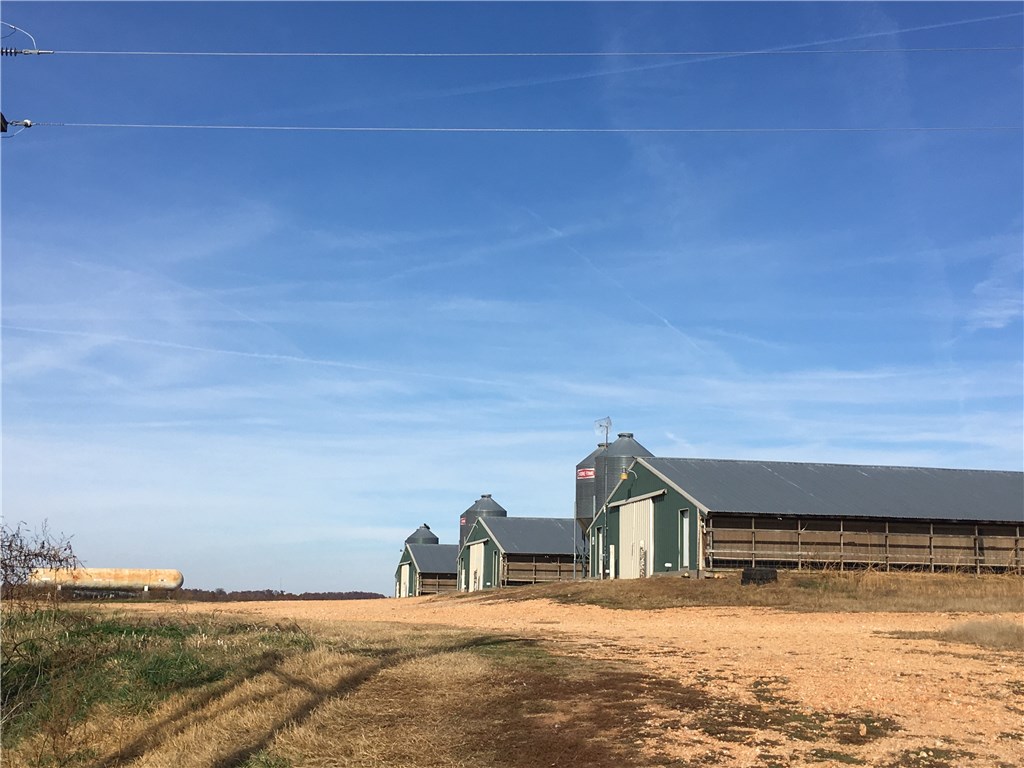 Broilerville - Farm