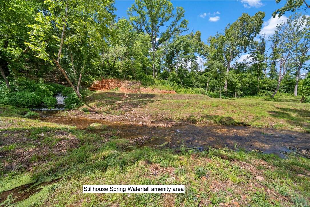 Healing Springs Phase 2 - Land