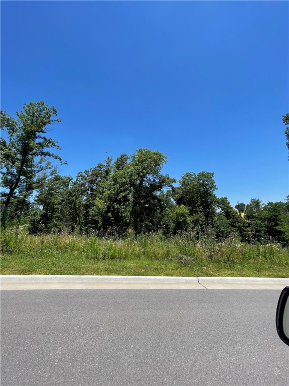 Healing Springs Phase 2 - Land