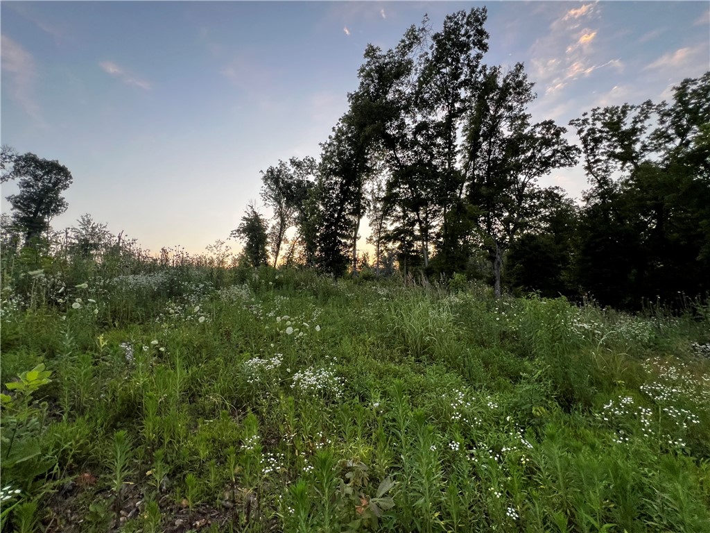 Healing Springs Phase 2 - Land