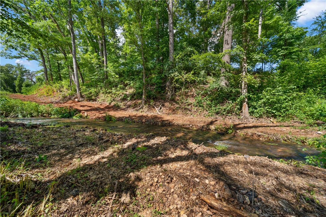 Healing Springs Phase 2 - Land