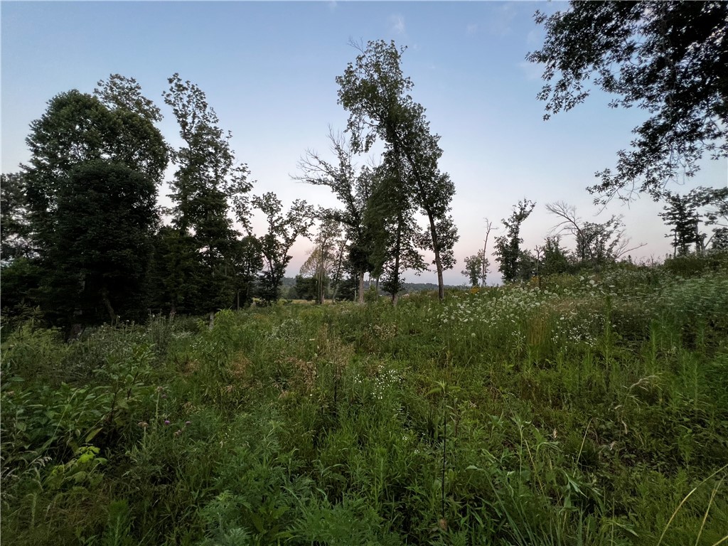 Healing Springs Phase 2 - Land