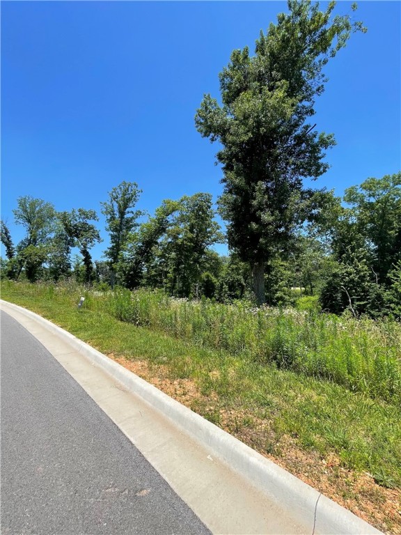 Healing Springs Phase 2 - Land